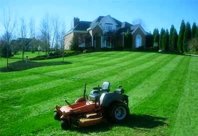 ✔️Ever-So-Green Lawn & Grounds Maintenance